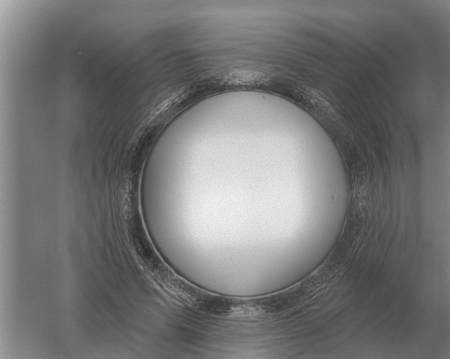 X0000052540591200507152135