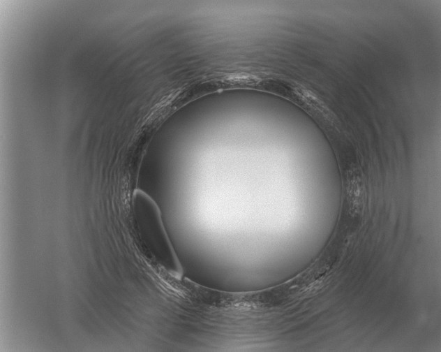 X0000052540593200507152135