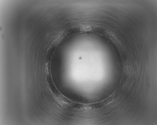 X0000052540598200507152135