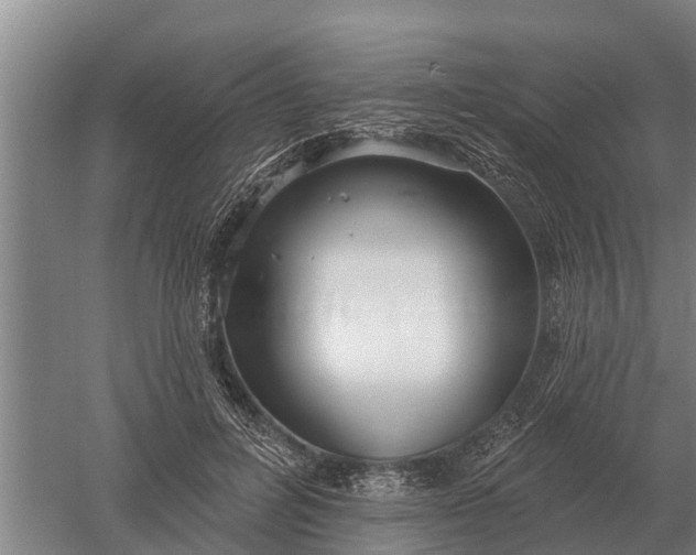 X0000052540600200507152135