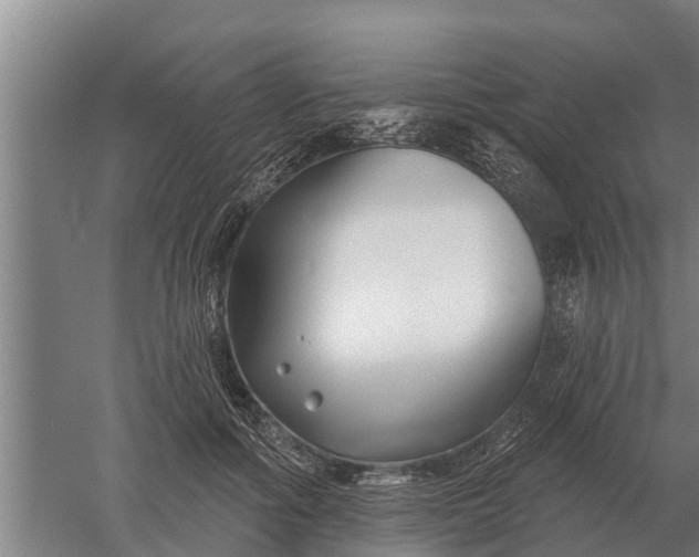 X0000052540602200507152135