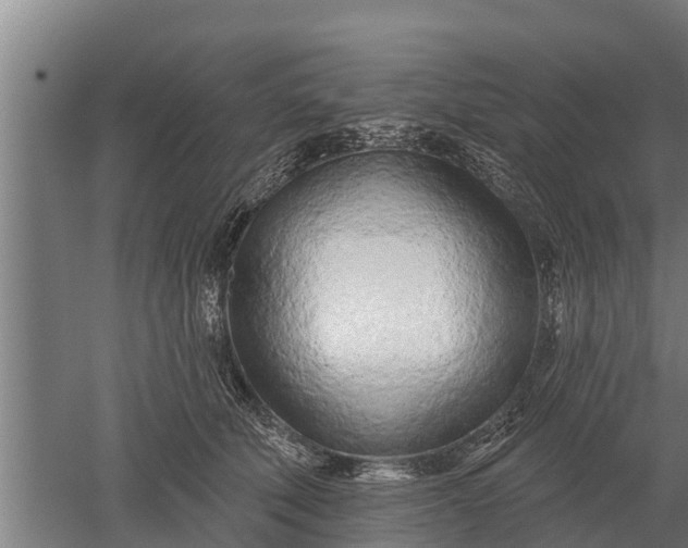 X0000052540610200507152134