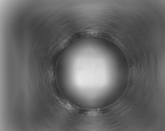 X0000052540615200507152134