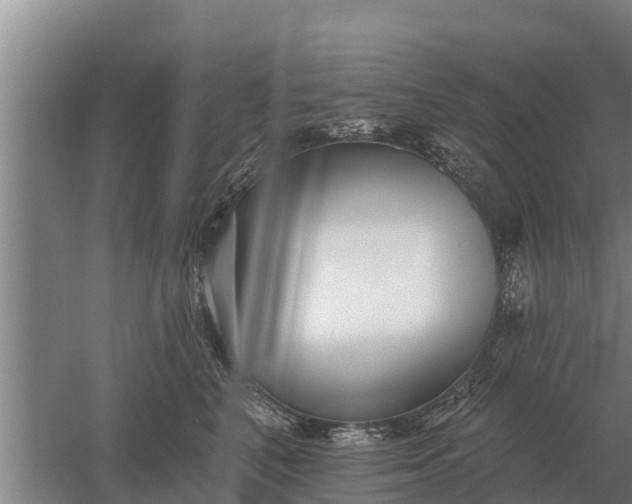 X0000052540616200507152134