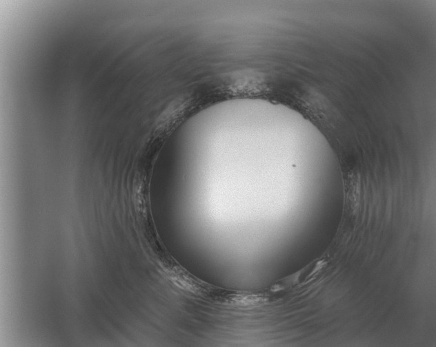 X0000052540619200507152134