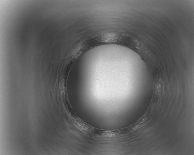 X0000052540620200507152134