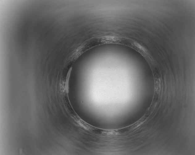 X0000052540621200507152134