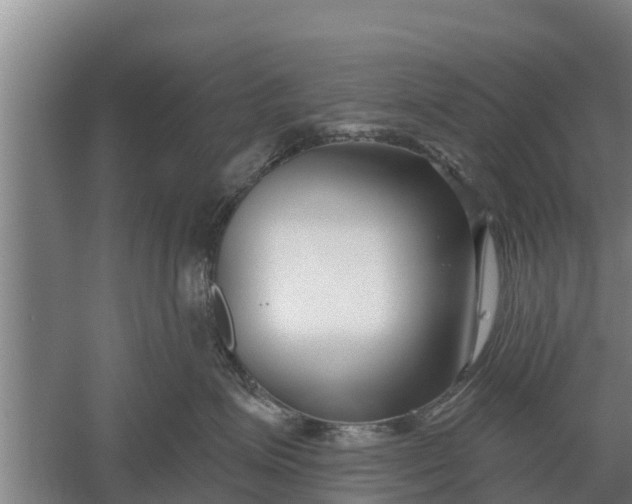 X0000052540623200507152134