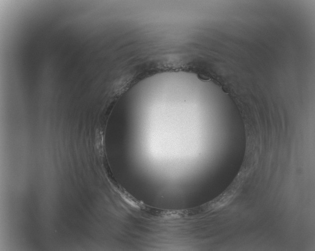 X0000052540624200507152134