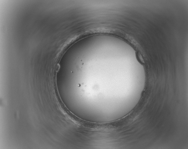 X0000052540625200507152133