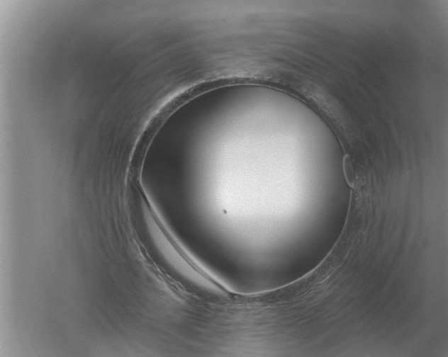 X0000052540628200507152133