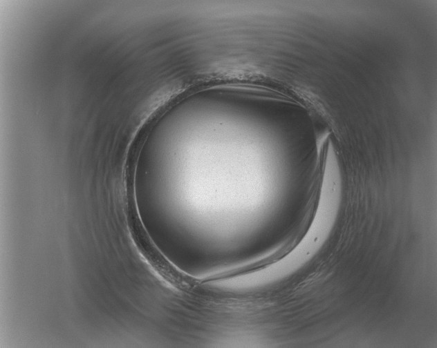 X0000052540630200507152134