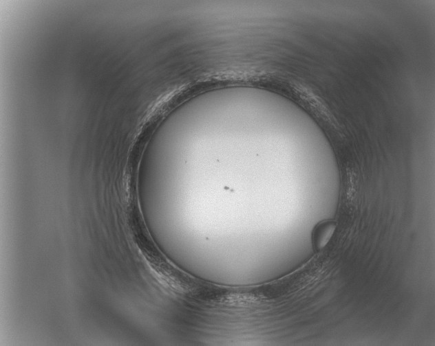 X0000052540636200507152134