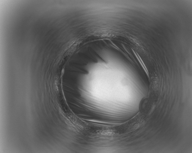 X0000052540643200507152134