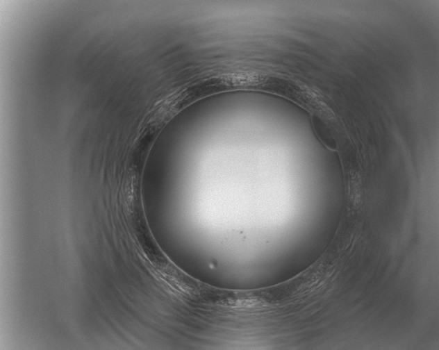 X0000052540645200507152134