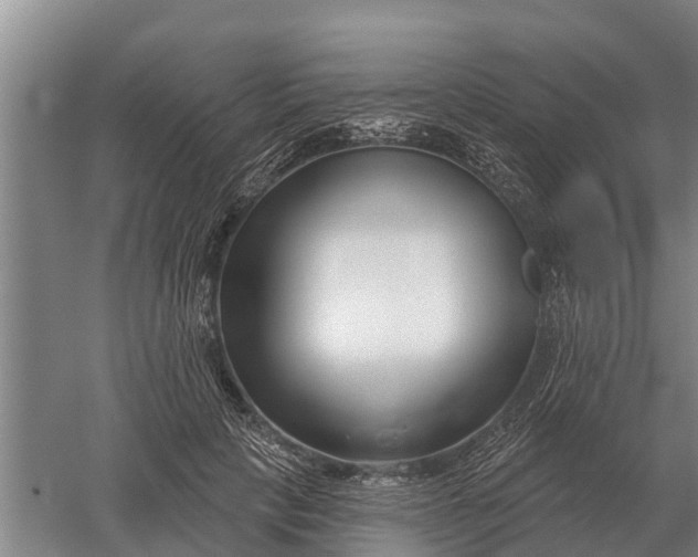 X0000052540649200507152134