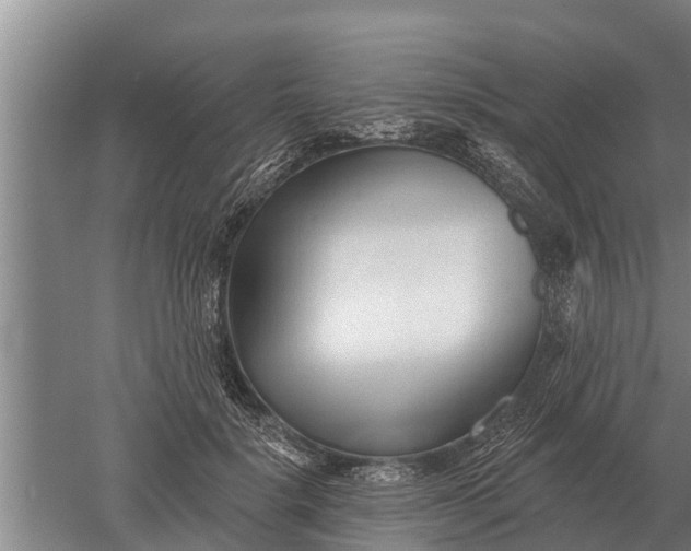 X0000052540652200507152134