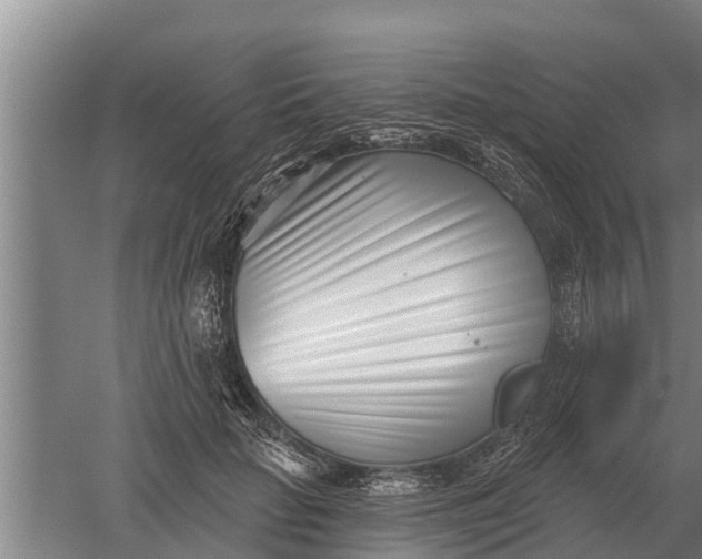 X0000052540653200507152134