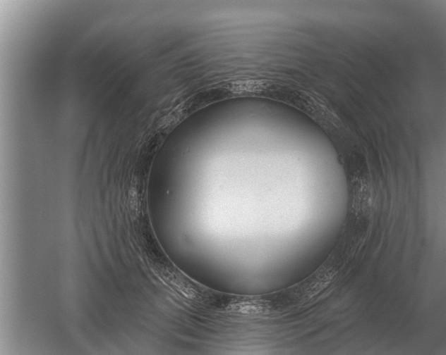 X0000052540655200507152134