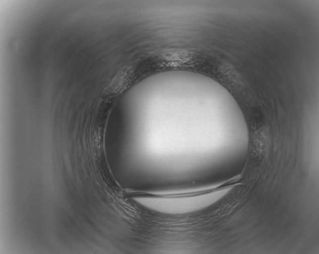 X0000052540657200507152134