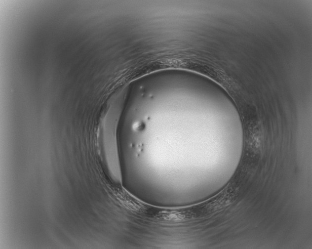 X0000052540658200507152134