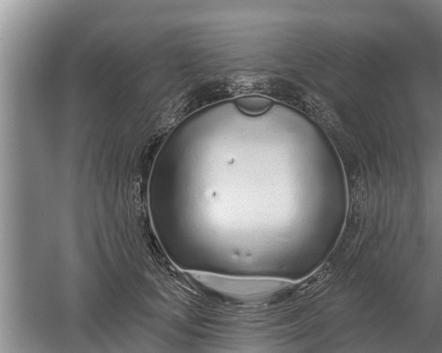 X0000052540659200507152134