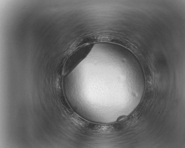 X0000052540663200507152134