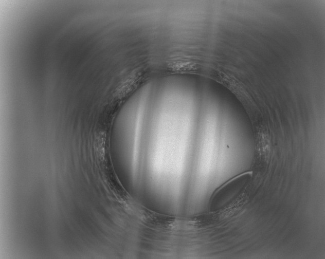 X0000052540664200507152134