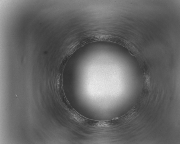 X0000052540668200507152134