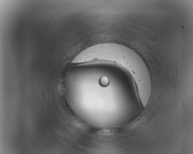 X0000052540672200507152134