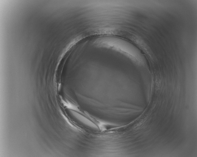 X0000052540674200507152133