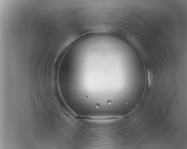 X0000052540675200507152133