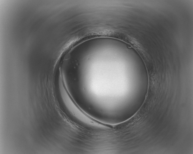 X0000052540679200507152133