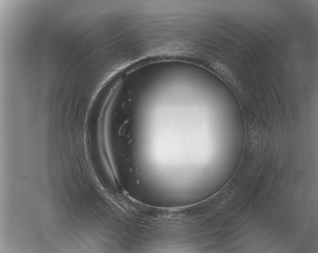 X0000052540680200507152133