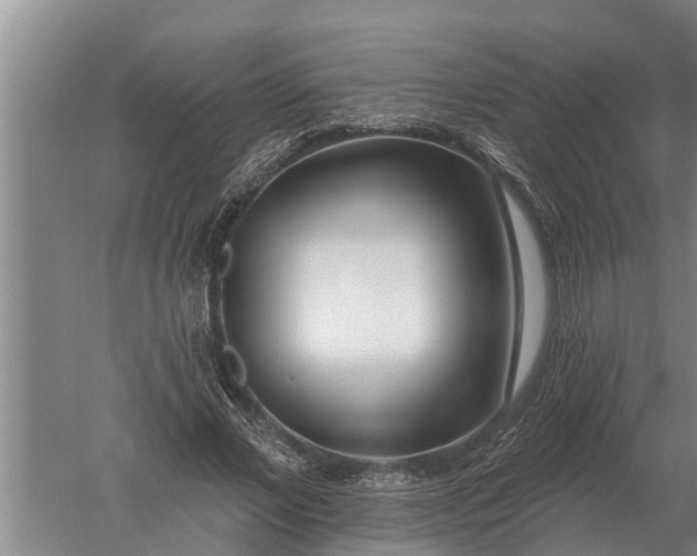 X0000052540685200507152133