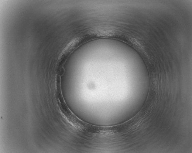 X0000052540686200507152133