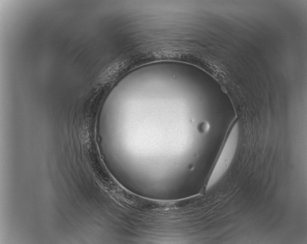 X0000052540687200507152133