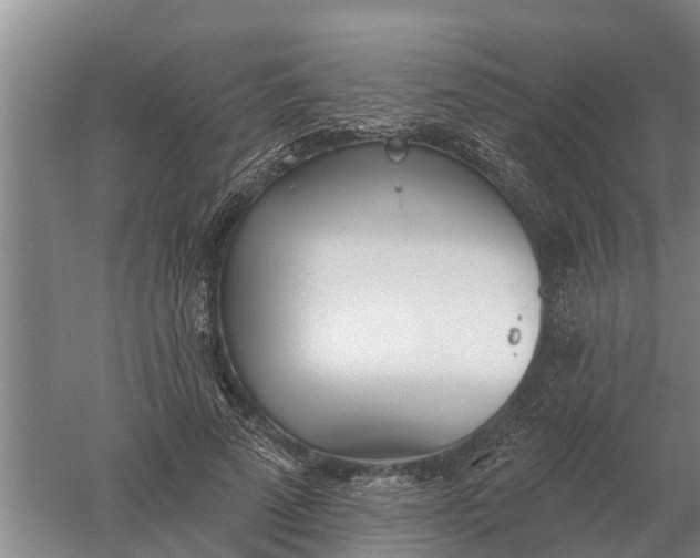 X0000052540689200507152133