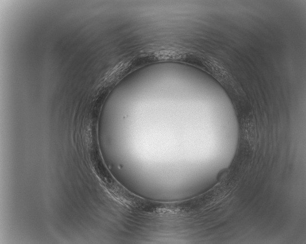 X0000052540690200507152133