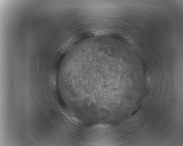 X0000052540691200507152133