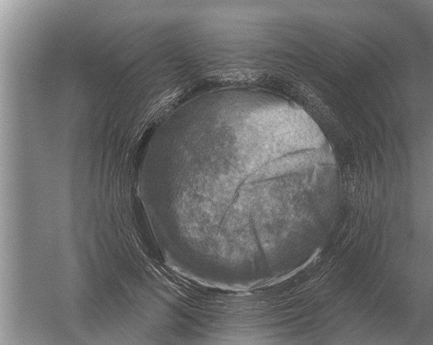 X0000052540692200507152133