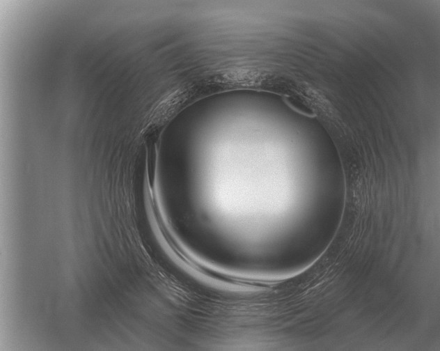 X0000052540693200507152133