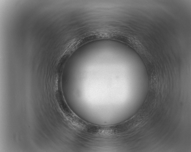 X0000052540694200507152133