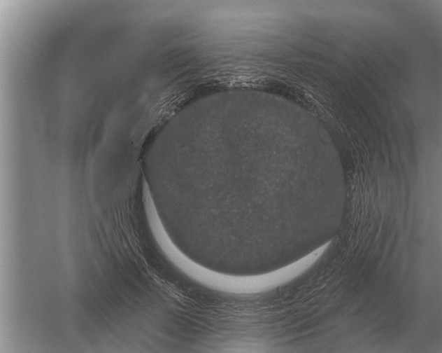 X0000052540695200507152133