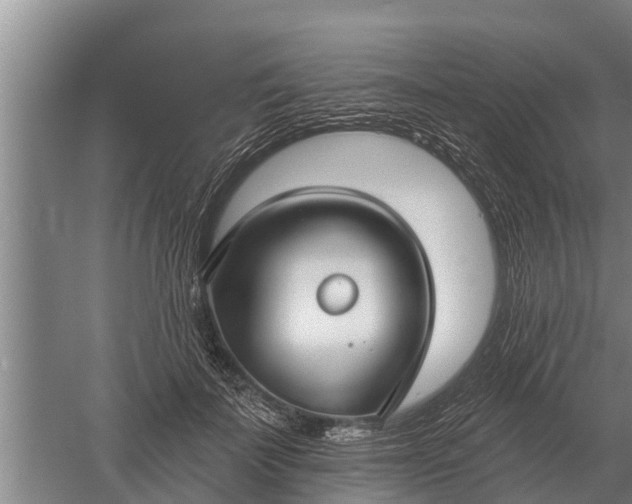 X0000052540699200507152133