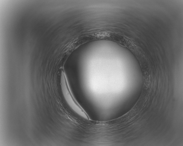 X0000052540704200507152133