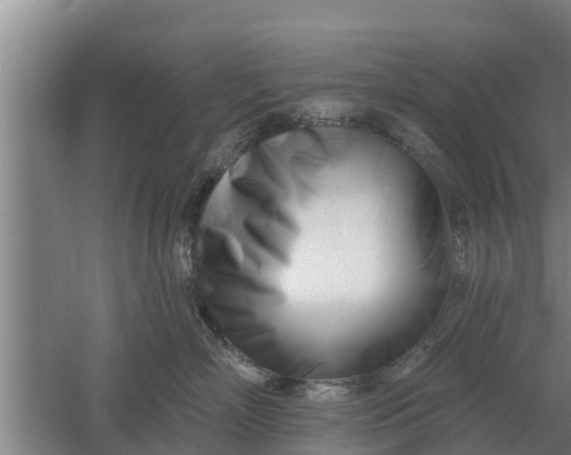 X0000052540718200507152133