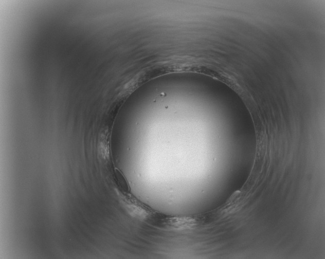 X0000052540719200507152133