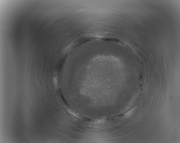 X0000052540720200507152133