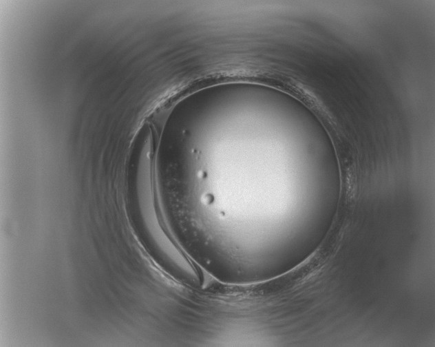 X0000052540725200507152132